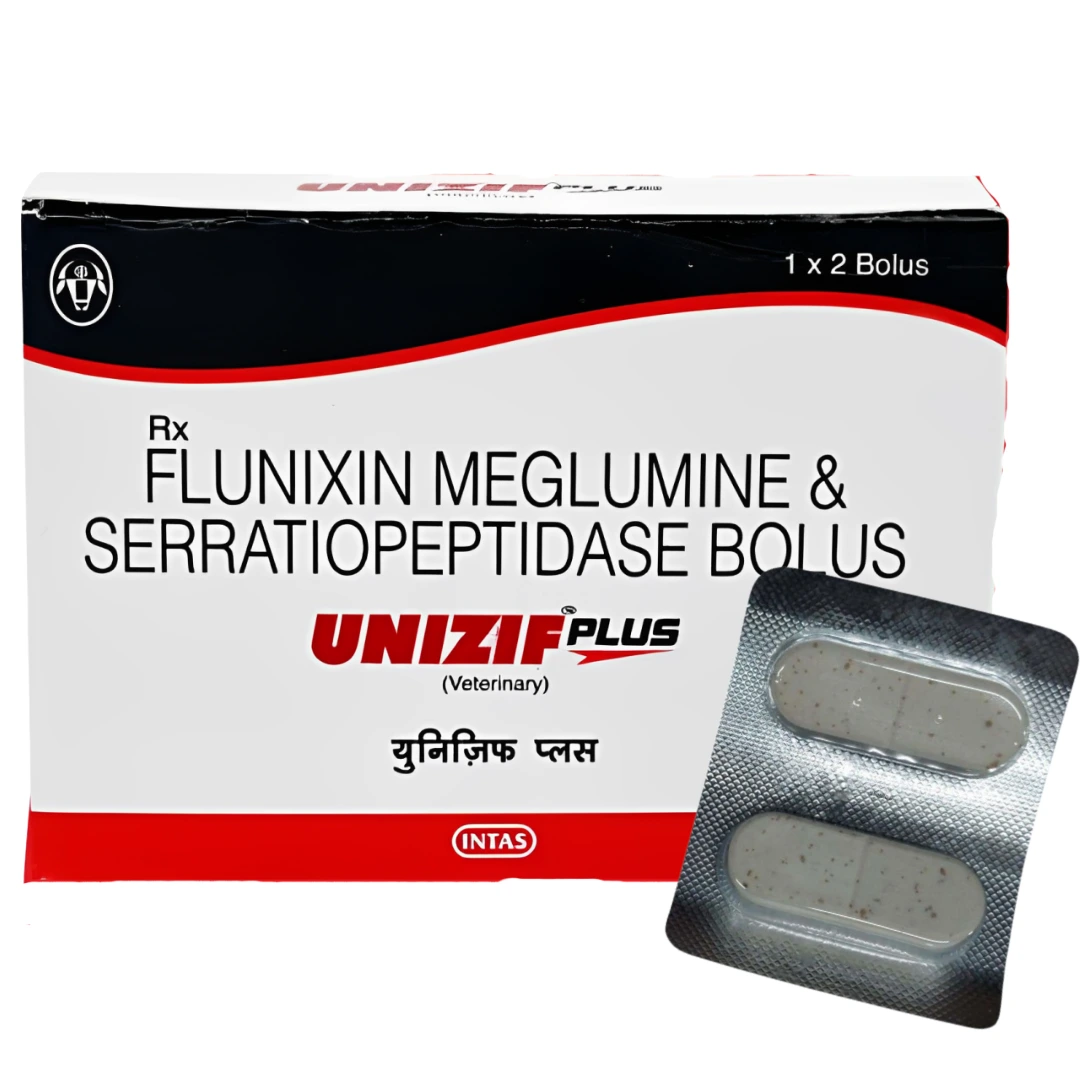 UNIZIF Plus
